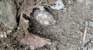 Sakarya'da Bahçesini Temizleyen Vatandaş El Bombası Buldu