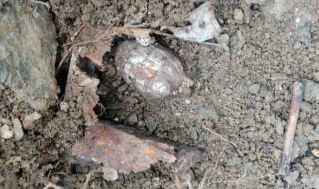 Sakarya'da Bahçesini Temizleyen Vatandaş El Bombası Buldu