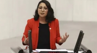 Sera Kadıgil: Meclis Yaşlı, Zengin, Heteroseksüel Erkekler Kulübü