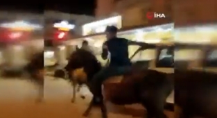TikTok Videosu Çekmek İçin At Sürüyordu: Ata Otomobil Çarptı