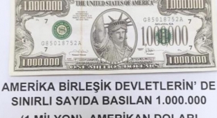 Van'da 1 Milyon Dolarlık Banknot Ele Geçirildi