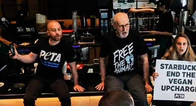 ABD'li Aktör Elini Tutkalla Starbucks Tezgahına Yapıştırdı: Vegan Sütlerden Ek Ücret Almayın