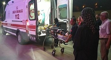 Adana'da Bir Araç Yola Fırlayan Başıboş Köpeğe Çarptı: İki Kişi Yaralandı
