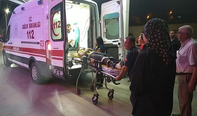 Adana'da Bir Araç Yola Fırlayan Başıboş Köpeğe Çarptı: İki Kişi Yaralandı