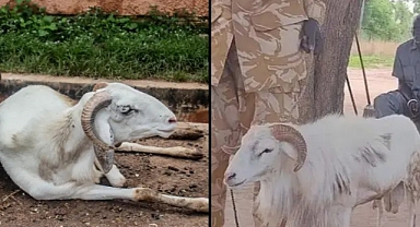 Bir Kadını Öldüren Koça 3 Yıl Hapis Cezası Verildi