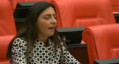 CHP'li Milletvekili TBMM'de Kürtçe Şarkı Söyledi