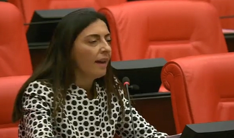 CHP'li Milletvekili TBMM'de Kürtçe Şarkı Söyledi
