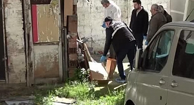 Kaybolan Yavru Kedisini Ararken Gizlenmiş El Yapımı Bomba Buldu
