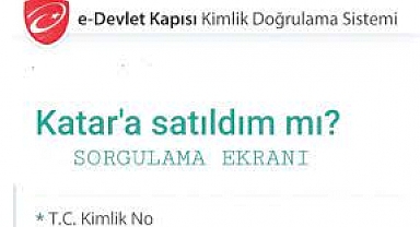 McDonald's Türkiye, Katarlılara Satıldı