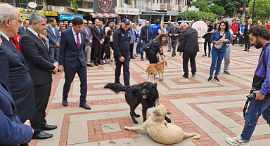 Nazilli'de 19 Mayıs Kutlaması: Protokolün Başıboş Köpeklerle İmtihanı
