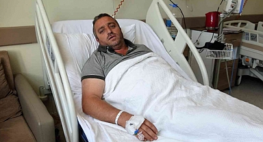 Ayıyla Güreşen Tokatlı Çiftçi, Kene Nedeniyle Hastanelik Oldu