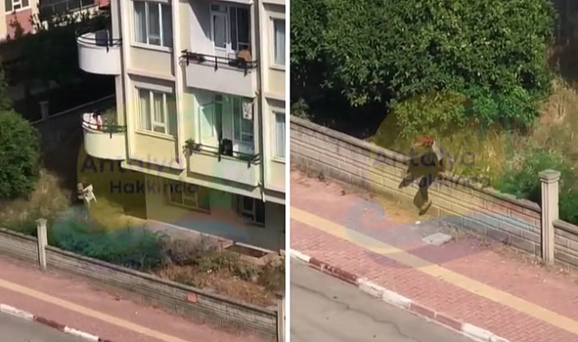 Antalya'da Yabancı Uyruklu Kartoncular, Hırsızlık Yapmaya Yeltenirken Yakalandı