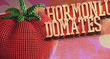 Anti-LGBT Ödülü Hormonlu Domates'e Aday Gösterilme Sebepleri: Trans Çocuklar Olmasın Demek, Harry Potter Sevmek, Kadın ve Öfkeli Olmak