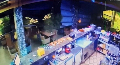 Asırlık Çam Ağacı Kafenin Üstüne Devrildi: Fırsatçılar Kasayı Soydu