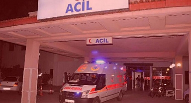 Bitlis'te Ot Biçme Kavgasında 3 Kişi Öldü