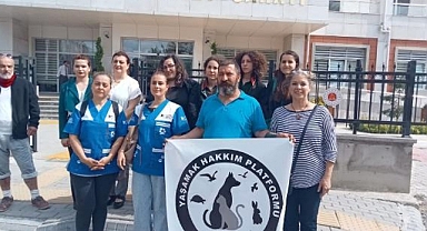 Köpeğe Tecavüz Eden 66 Yaşındaki Şahsa Hapis Cezası