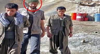 Kürtçü HDP'li Vekilin Teröristlerle Fotoğrafı Çıkan Oğlu Serbest Bırakıldı