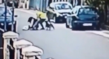 Saldırıya Uğrayan Kadını Sokak Köpeği Kurtardı