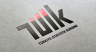TÜİK'in Tüketici Fiyatları Grup Başkanı İstifa Etti