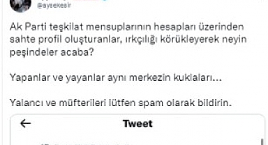 AKP Kadın Kolları Başkanı ile AKP Tanıtım ve Medya Başkan Yardımcısı TamgaTürk'ün Twitter Hesabını Hedef Gösterdi