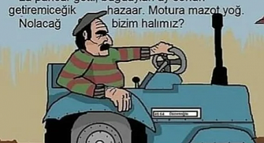AKP'liler Sahaya İndi: Çiftçiler Son 20 Yılın En Memnun Dönemini Yaşıyor