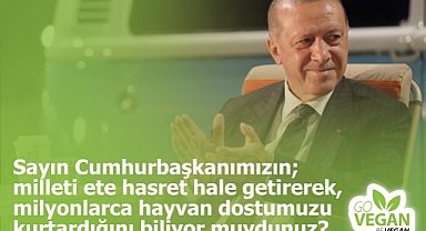Avrupa'da Asgari Ücretle Çalışan Oranları: Türkiye'nin Durumu İçler Acısı