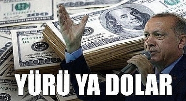 BDDK Kararının Ardından Düşen Dolar Kuru Yeniden 17 Liraya Ulaştı