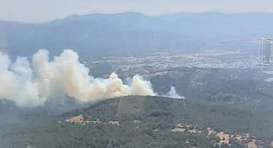 Bodrum'da Orman Yangını