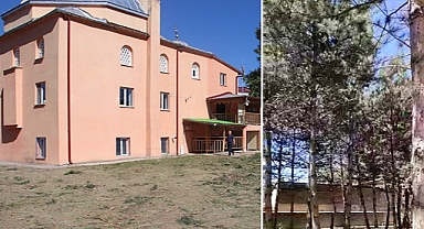'Camiyi Gölgeliyor' Gerekçesiyle Onlarca Ağaç Kestiler