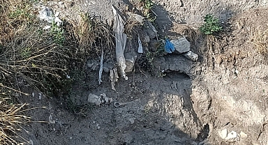 Çankırı'da Yağmur Suyunun Aşındırdığı Topraktan İskelet Çıktı