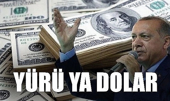 Ekonomist Meriç Köyatası, Nebati'ye Anlatır Gibi Anlattı: Dolar Neden Düşmez?