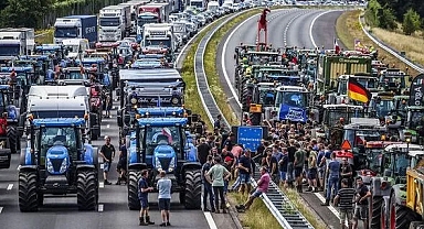 Hollanda Hükümeti 'İklim Hedeflerine Ulaşmak' İçin Çiftlikleri Kapatma Kararı Aldı
