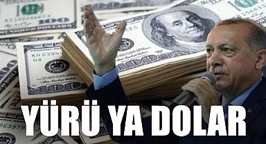 Merkez Bankası Kararı Öncesi Dolar Yükseliyor