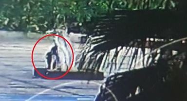 Özgecan Aslan Barış Meydanındaki Yarım Asırlık Ağaca Saldırdılar