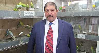 Pet Shoplar, Kasaplar Odasına Bağlandı