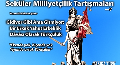 Seküler Milliyetçilik Tartışmaları V | Gidiyor Gibi Ama Gitmiyor: Bir Erkek Yahut Erkeklik Dâvâsı Olarak Türkçülük