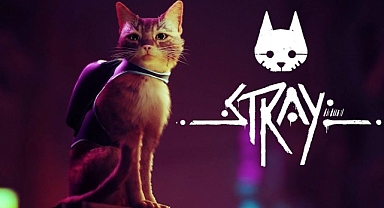 Sokak Kedisi Olarak Oynanan Oyun Çıktı: Stray