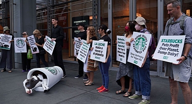Starbucks'ın 'Vegan Sütler İçin Daha Fazla Ücret Almasını' Protesto Ettiler
