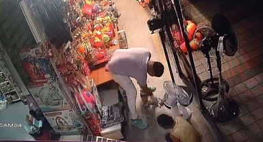 Yavru Kedi Esnafın Kalp Masajıyla Hayata Döndü