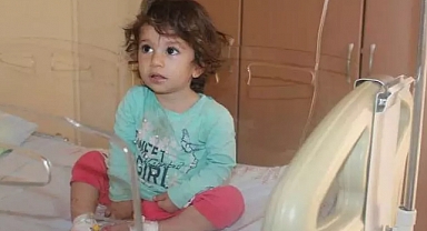 2 Yaşında Bir Çocuk Kendisini Isıran Yılanı Isırdı