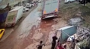 Başıboş Köpekten Kaçan 12 Yaşında Bir Çocuğa Araba Çarptı