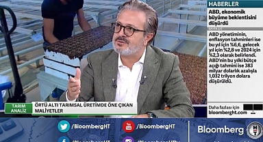 Bu Kış Domates Fiyatları 50 Lirayı Bulur