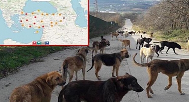 Havrita'ya Erişim Engeli Getirildi