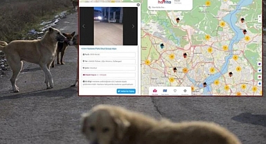 Havrita'ya İkinci Kez Erişim Engeli Getirildi