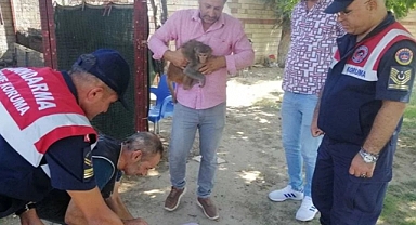 İzmir'de 2 Yaşındaki Çocuğu Maymun Isırdı