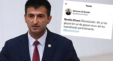 Mehmet Ali Çelebi, Tivitlerini Neden Sildiğini Açıkladı