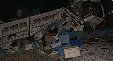 Muğla'da Arı Kovanı Yüklü Kamyon Otomobille Çarpıştı: 4 Kişi Hayatını Kaybetti 