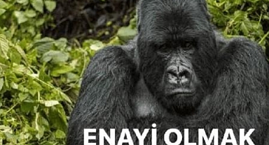 Türkler Toplam 9 Milyon Suriyelinin 'Hayatını Kolaylaştırıyor'