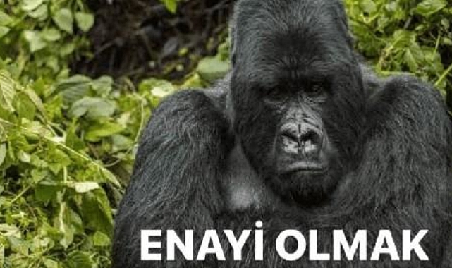 Türkler Toplam 9 Milyon Suriyelinin 'Hayatını Kolaylaştırıyor'
