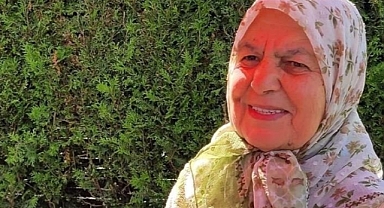 79 Yaşındaki Kadın Oğlunun Beslediği 7 Başıboş Köpek Tarafından Öldürüldü